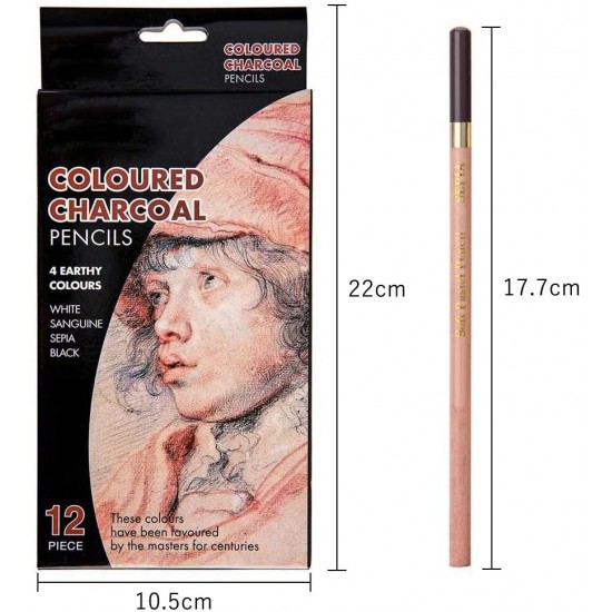 مجموعة أدوات الرسم بالفحم 2 ابيض 2 بني داكن 2 سيبا 6 أسود الوان الترابية طقم 12 قطعة